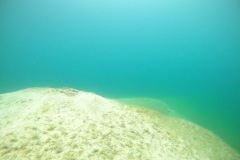 DCIM100GOPROGOPR0097.JPG