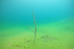 DCIM100GOPROGOPR0101.JPG
