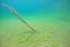 DCIM100GOPROGOPR0105.JPG