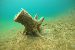 DCIM100GOPROGOPR0119.JPG