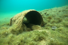 DCIM100GOPROGOPR0121.JPG