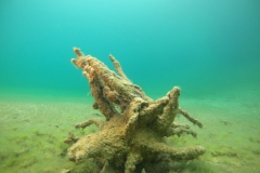 DCIM100GOPROGOPR0127.JPG