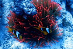 Aegypten-2019_02