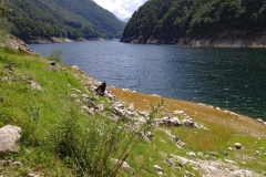 Lago_25