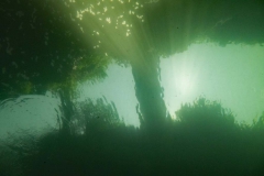 Lago_63