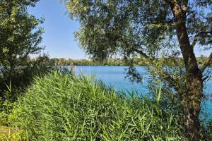Oberrhein 2025