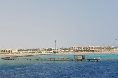 Safari-24_08