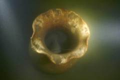 ST_21-02