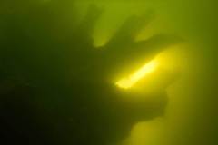 ST_21-03
