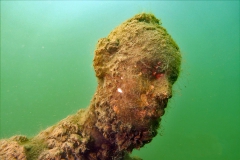 WS_2020-12